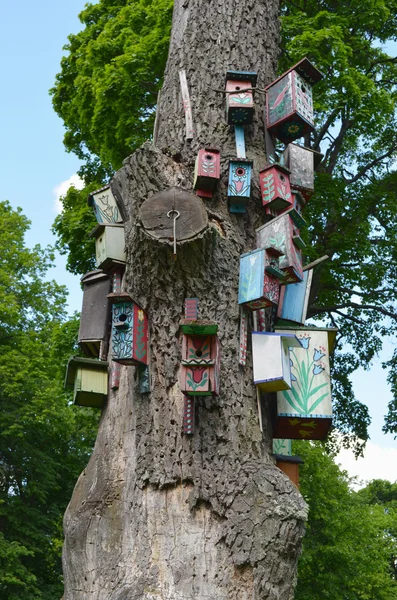 Старый мертвый ствол дерева красочные гнездовья птиц коробки — стоковое фото