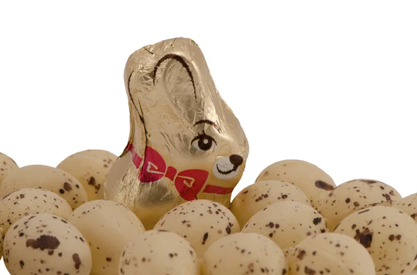 Easter bunny chocoladesuikergoed en eieren geïsoleerd — Stockfoto