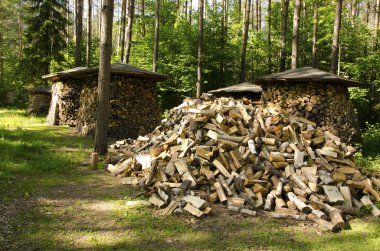 Pile of chopped stack firewood wood forest trees clipart