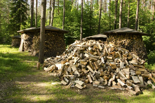 Hromadu zásobníku nasekané dříví dřevo lesních stromů — Stock fotografie