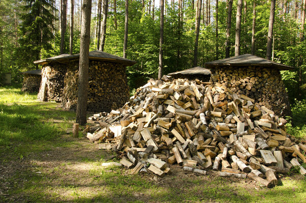 Pile of chopped stack firewood wood forest trees