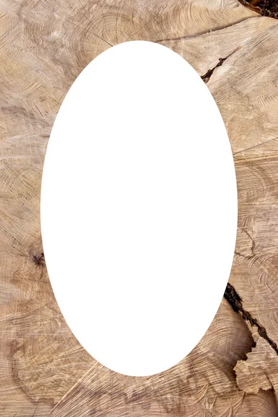 Cutting texture of old tree frame and white oval — Stock Photo, Image