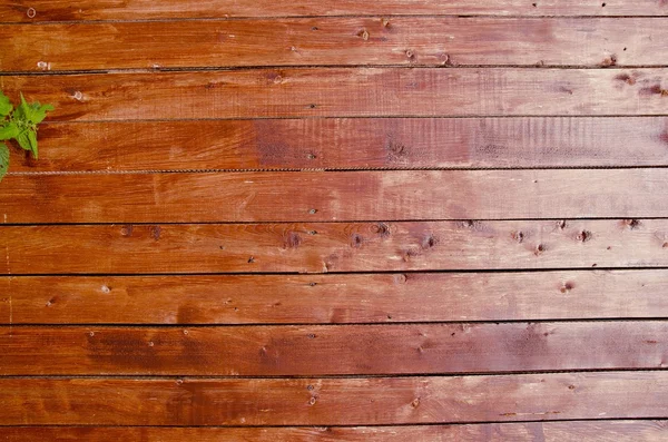 Planks wall background. — Stock Photo, Image