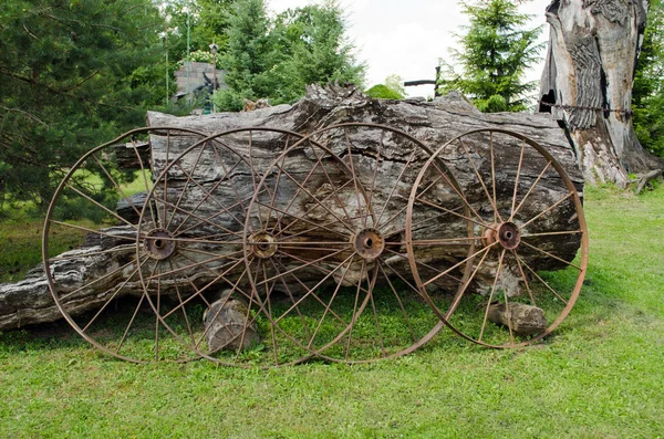Старые ржавые колеса кареты опираются на старый ствол дерева — стоковое фото