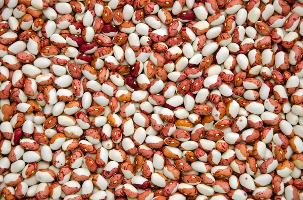 Sušené fazole. zdravá výživa potraviny pozadí — Stock fotografie