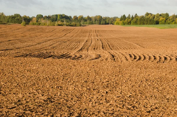 Agriculture plow autumn field. Loam soil prepare — Stock Photo, Image