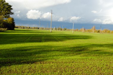 Agricultural field plants grow electricity pole clipart