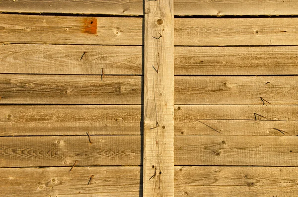 Fondo de la pared de madera tablón y muchos clavos de vuelta — Foto de Stock