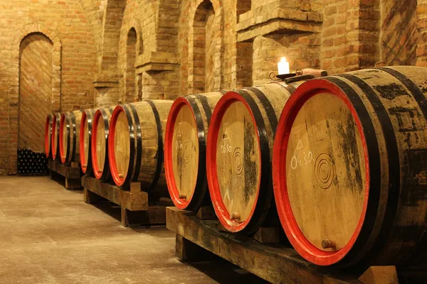 Beczki z winem w piwnicy Obraz Stockowy