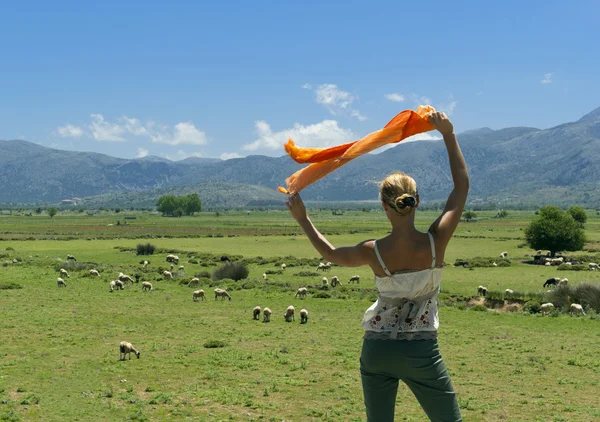 Atraktivní žena při pohledu na stádo ovcí na zelené louce — Stock fotografie