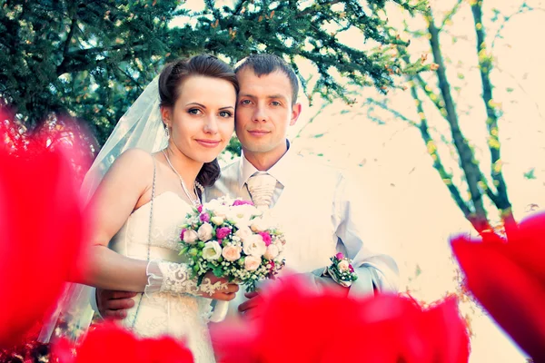 Bruid en bruidegom poseren in park — Stockfoto