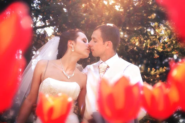 Menyasszony és a vőlegény pózol park — Stock Fotó