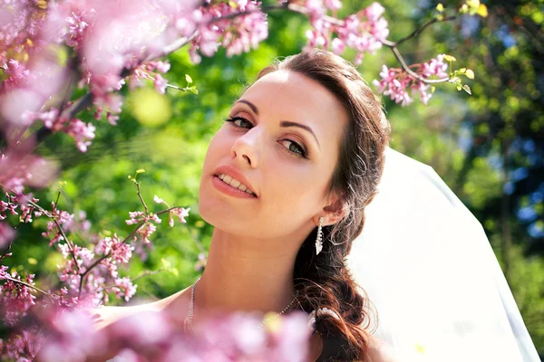 Bride posing on the background of flowers — Stock Photo, Image