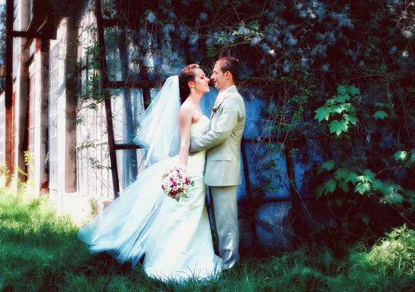 Mariée et marié posant dans le parc — Photo