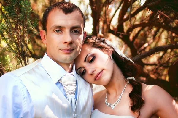 Bruid en bruidegom poseren in park — Stockfoto