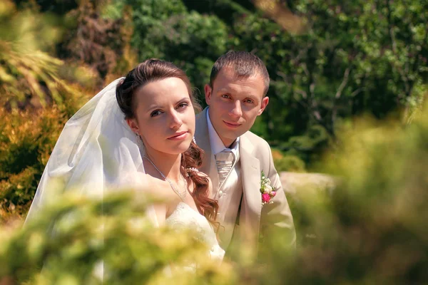 Braut und Bräutigam posieren im Park — Stockfoto