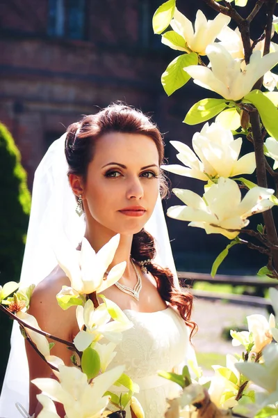 Braut posiert auf dem Hintergrund von Blumen — Stockfoto