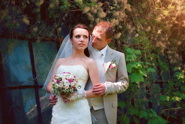 Bruden och brudgummen poserar i park — Stockfoto