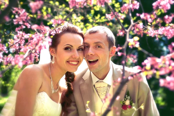Braut und Bräutigam posieren im Park lizenzfreie Stockbilder