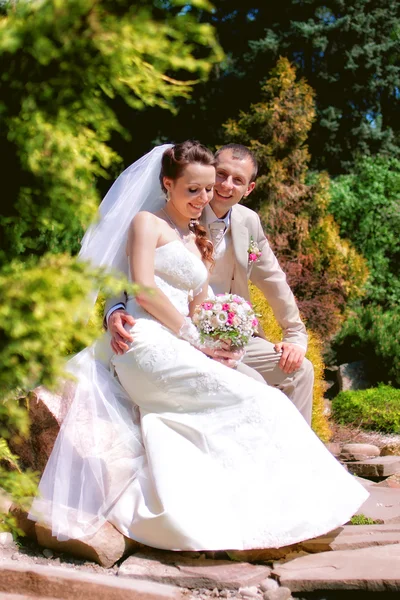 Braut und Bräutigam posieren im Park Stockbild