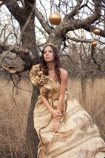 Princesa en vestido de oro — Foto de Stock
