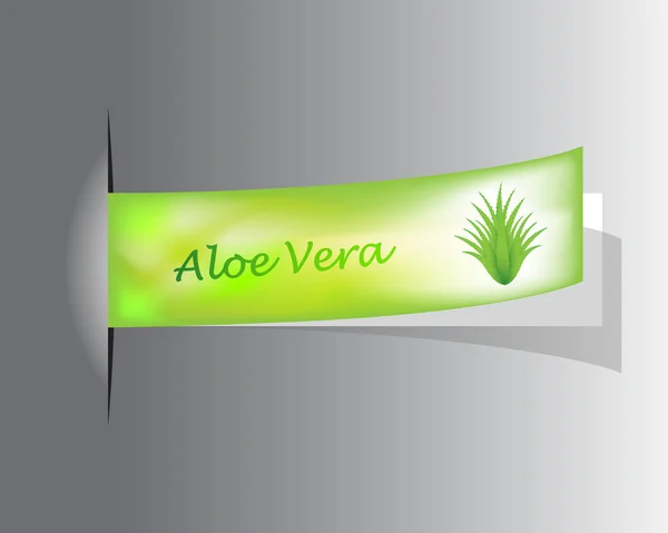 Speciaal label met Aloë vera ontwerp — Stockvector