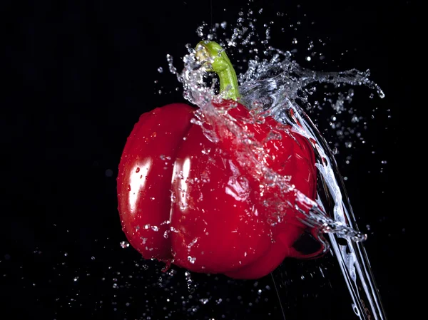 Pepper hit by thrown water. — Stock Photo, Image