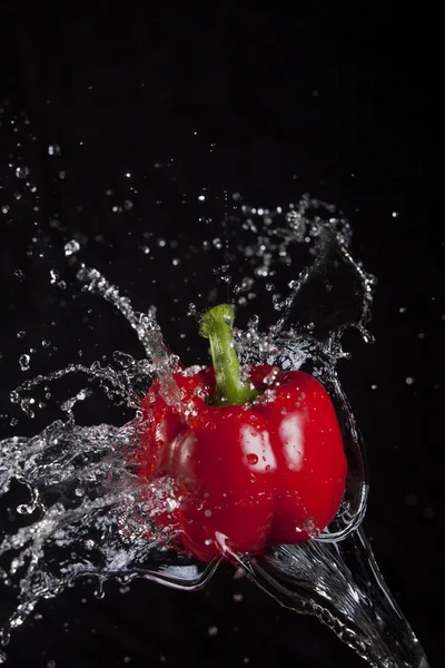 Pimienta roja salpicada por agua . — Foto de Stock