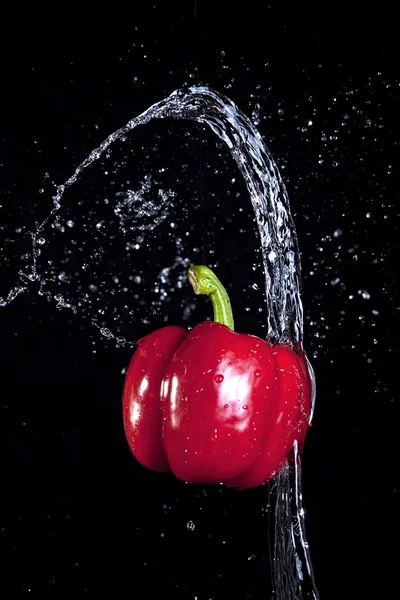 Geworpen water en een peper. — Stockfoto