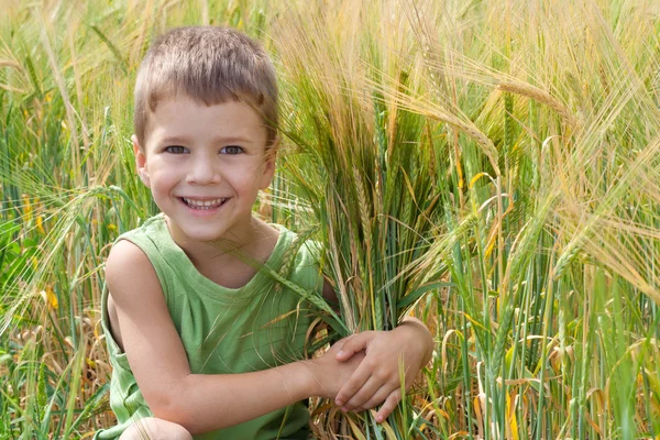 Malý chlapec v pšeničné pole — Stock fotografie