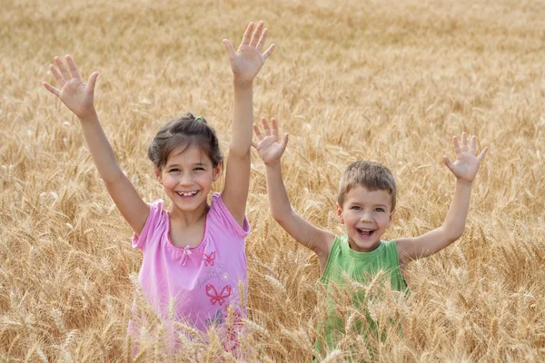 Twee kinderen op een tarweveld — Stockfoto