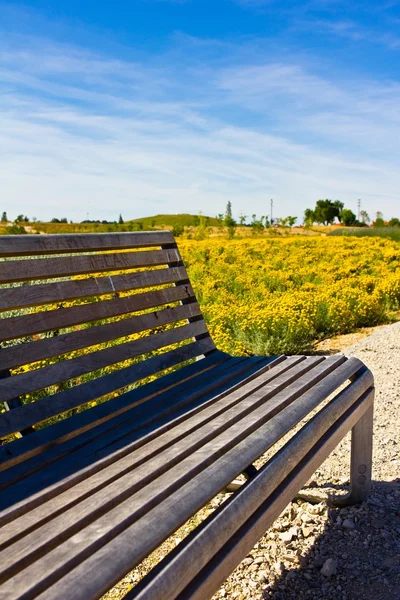 Dřevěná lavička na jaře — Stock fotografie