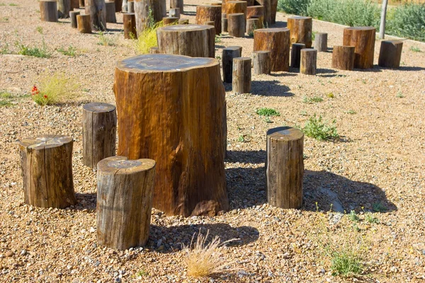 Tree Stump — Stock Photo, Image