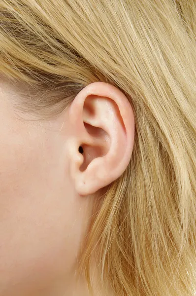 Fecho do ouvido — Fotografia de Stock