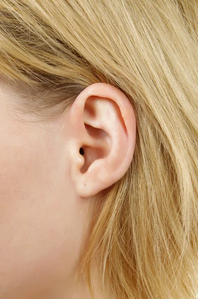 Gros plan de l'oreille Image En Vente