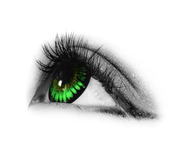 Eye closeup clipart