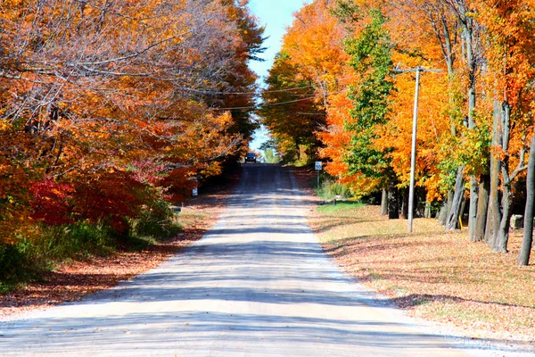 秋の国ドライブ — ストック写真