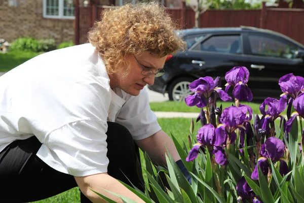 Kvinnan gör trädgårdsarbete — Stockfoto