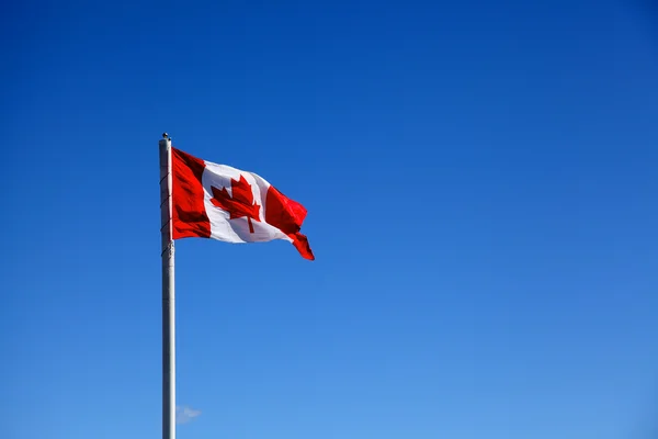 Kanadan lippu — kuvapankkivalokuva