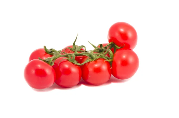 Geïsoleerde tomaat groep — Stockfoto