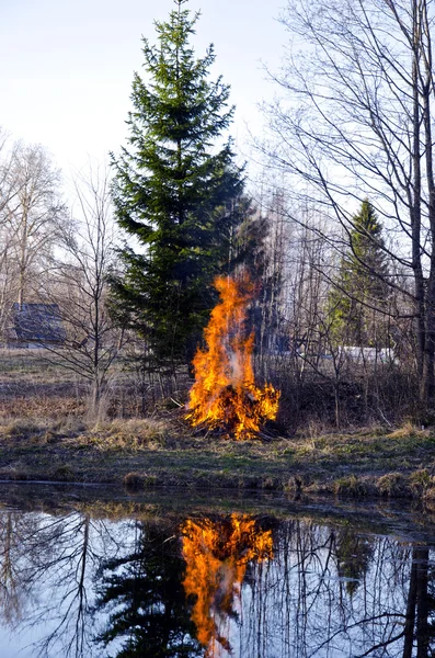 Vroege voorjaar brand in de farm — Stockfoto