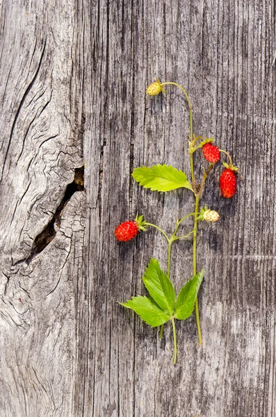 Lesní jahody na staré dřevěné pozadí — Stock fotografie
