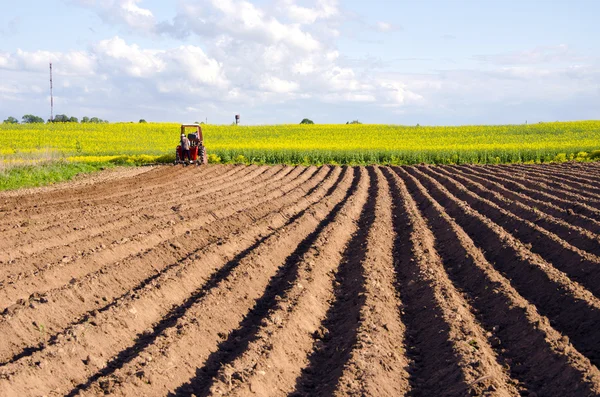 Весеннее поле с почвообработкой и трактором — стоковое фото