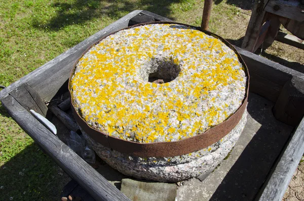 Ancient millstone with yellow lichens — Stock Photo, Image