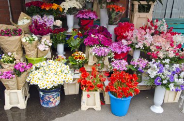 çeşitli yaz çiçek market