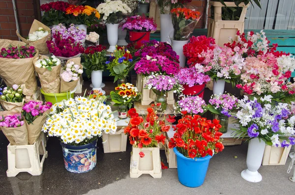 Various summer flowers market — Stock Photo, Image