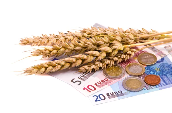 Isolated wheats harvest ears and euro — Stock Photo, Image