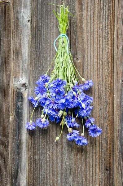 Kék Búzavirág csokor, a régi, fából készült fal — Stock Fotó