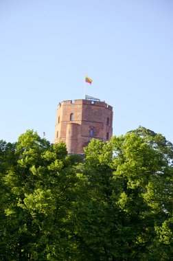 tarihsel gediminas kale kule Vilnius