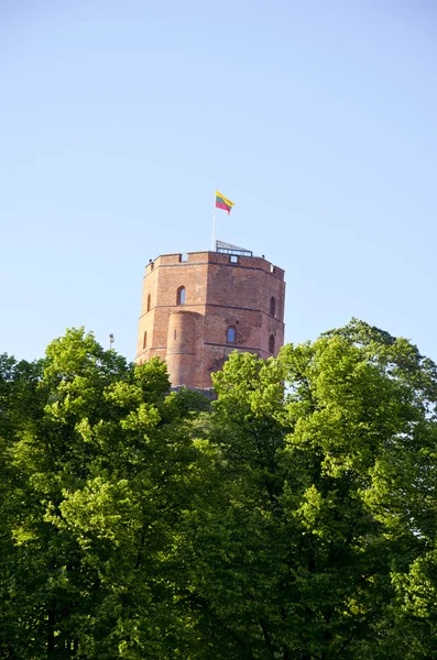 Tarihsel gediminas kale kule Vilnius — Stok fotoğraf